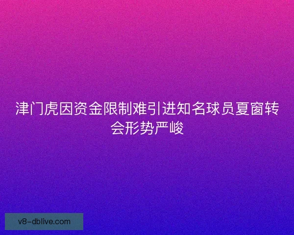 津门虎因资金限制难引进知名球员夏窗转会形势严峻
